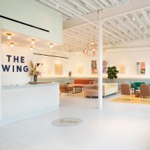The Wing by Chiara De Rege