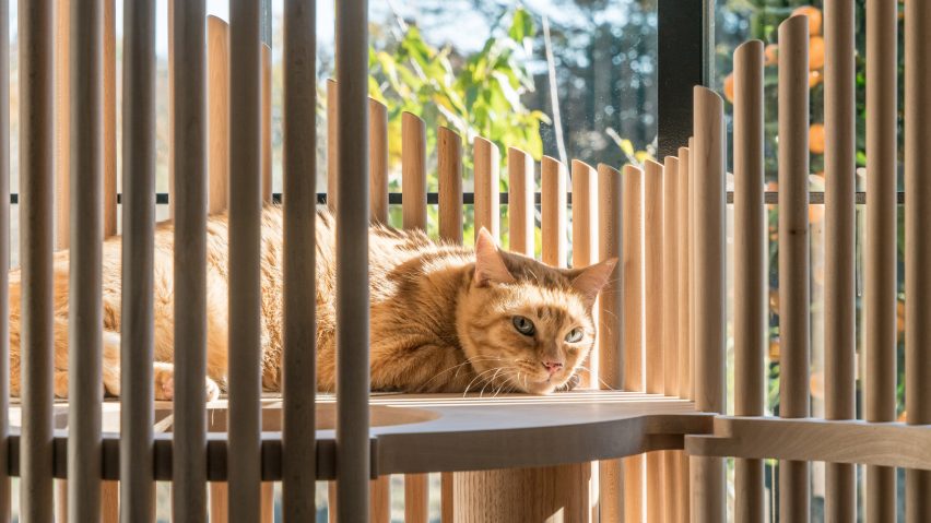 Yoh Komiyama’s climbing toy for cats doubles as a minimalist home decoration