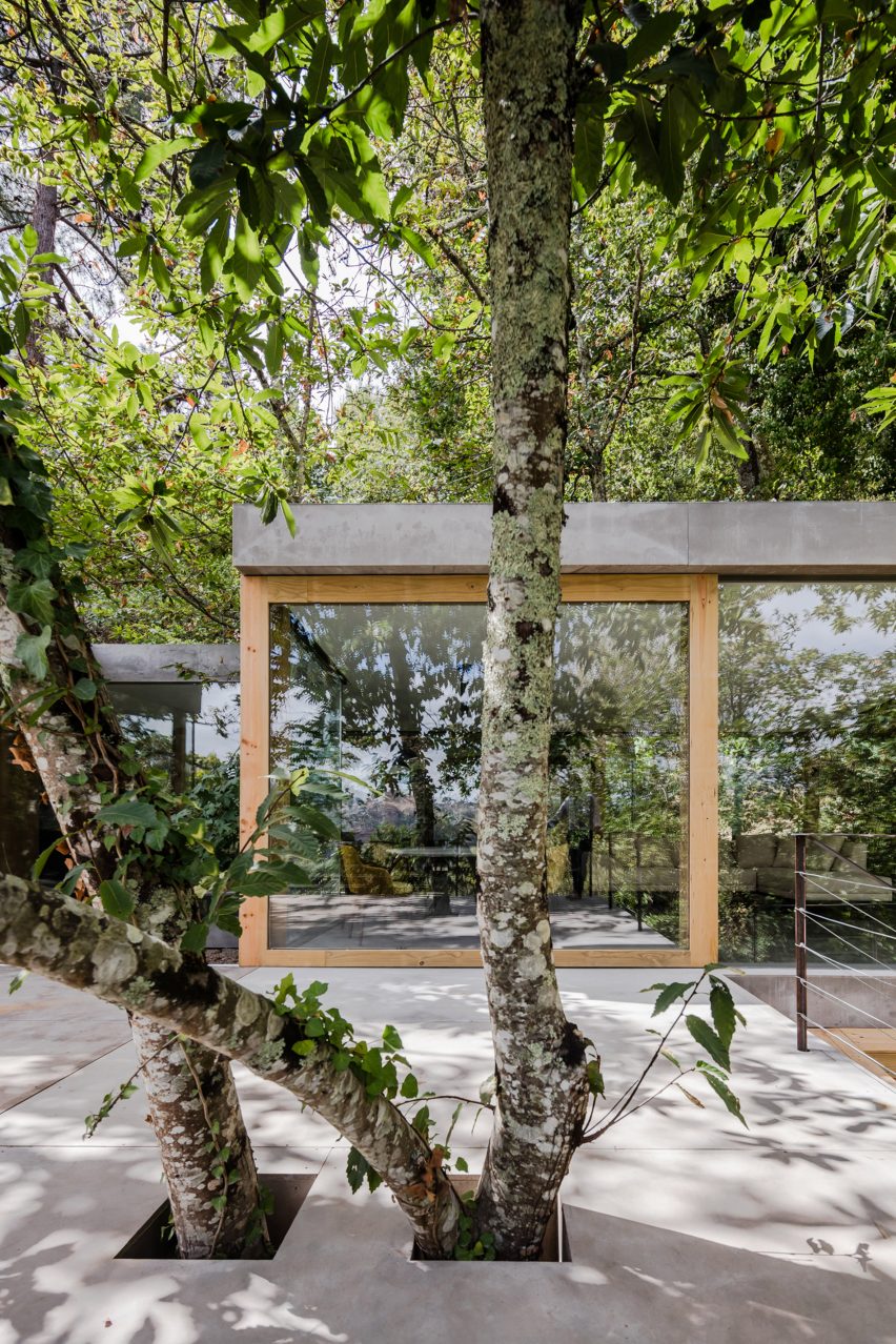 Cloaked House by Ernesto Pereira