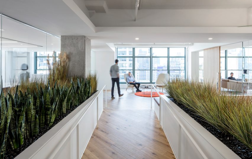 Horizon by A+I architecture