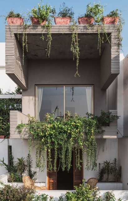 Living spaces at this house in the Indian city of Surat are arranged around a verdant courtyard lined with glass walls that can be retracted to open the interior up to the outdoors