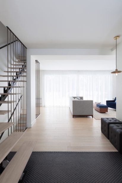 Lazard by kl.tz