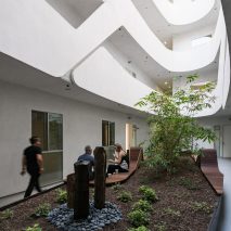 courtyard mariposa138 loha architecture residential apartments