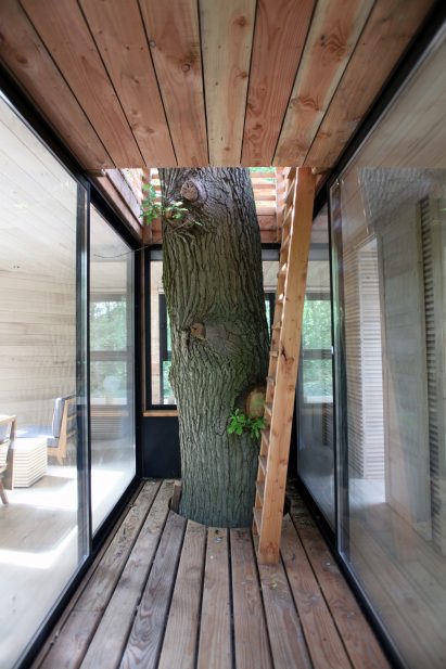 Origin tree house by Atelier Lavit