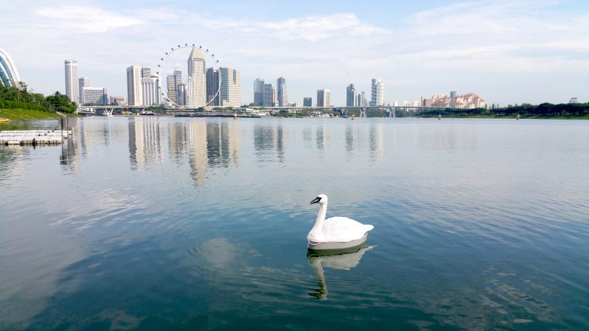 Robotic swans used to monitor quality of Singapore’s drinking water