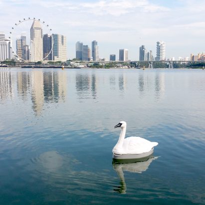 Robotic swans used to monitor quality of Singapore’s drinking water