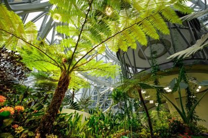Amazon The Spheres