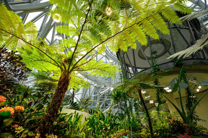 Amazon The Spheres