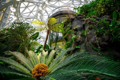 Amazon The Spheres