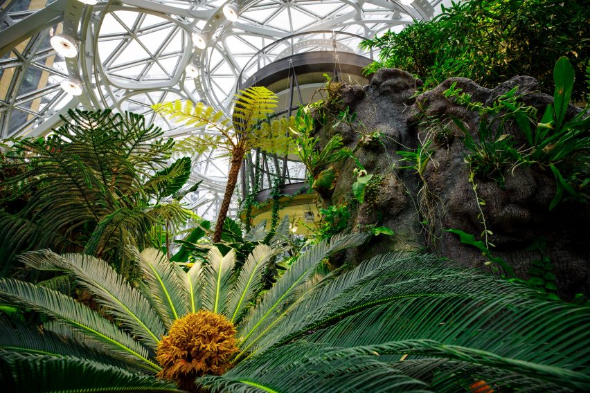 Amazon The Spheres
