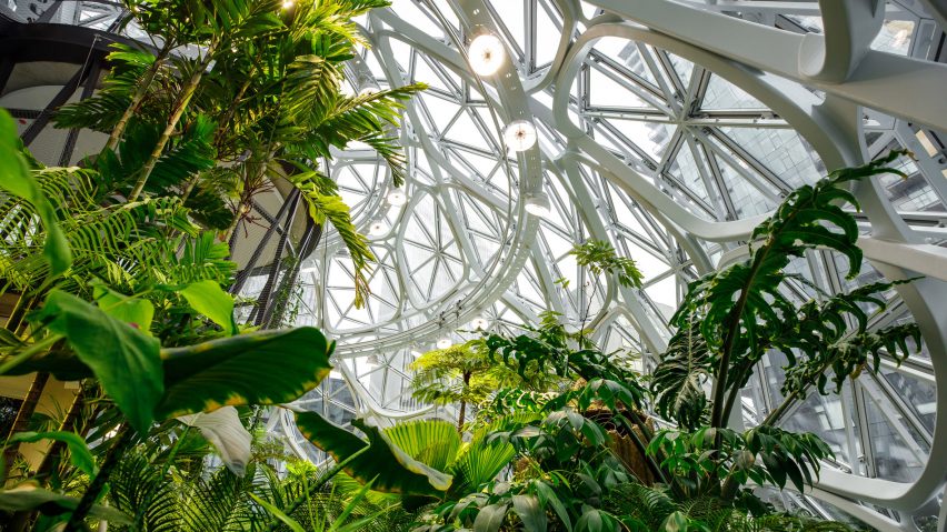 Amazon The Spheres