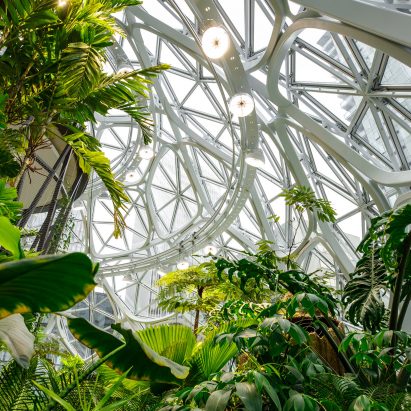Amazon The Spheres