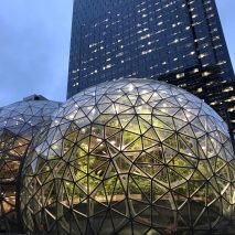 Amazon The Spheres