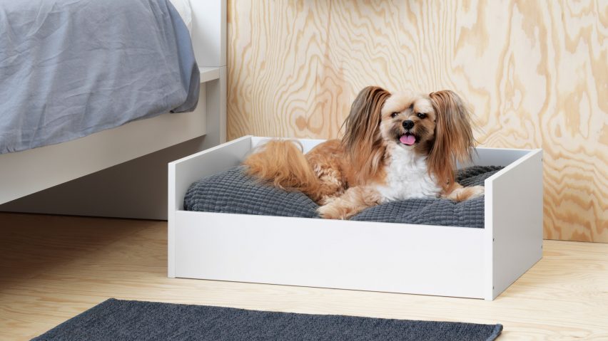 10 designs for dogs, from miniature IKEA furniture to a canine-friendly staircase