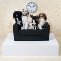 IKEA pet bed