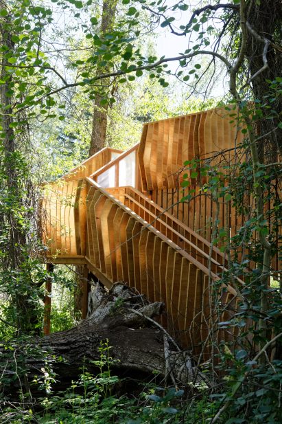 Aces Treehouse by Charles Cunniffe Architects