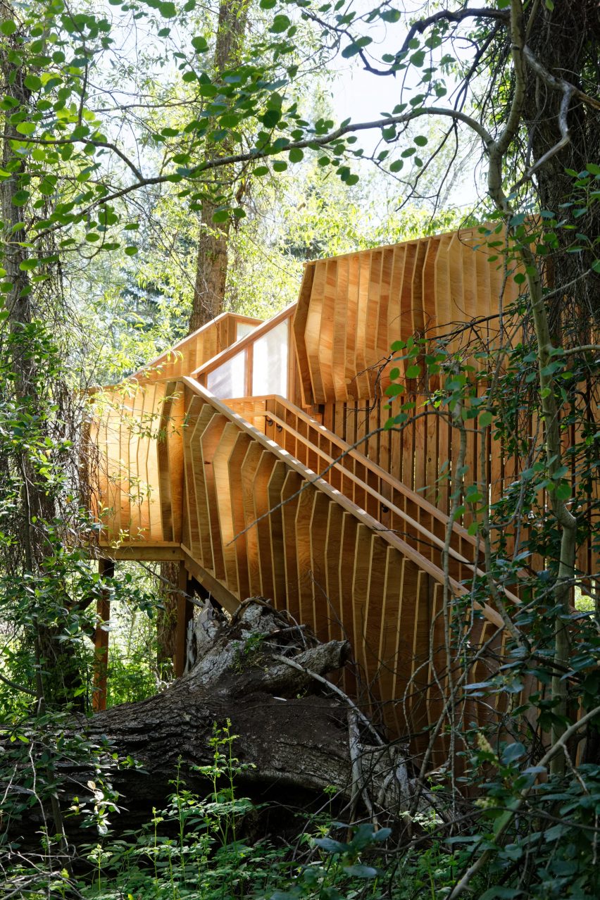 Aces Treehouse by Charles Cunniffe Architects
