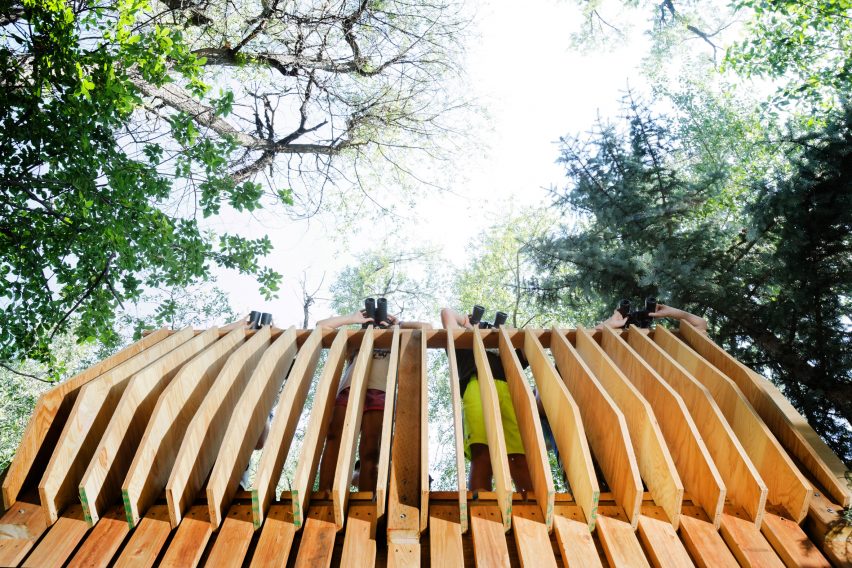 Aces Treehouse by Charles Cunniffe Architects