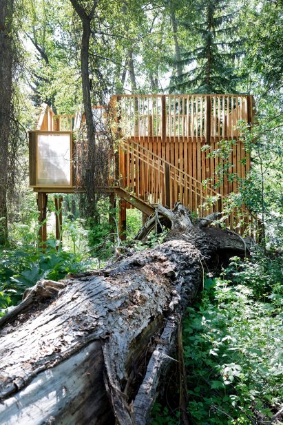 Aces Treehouse by Charles Cunniffe Architects