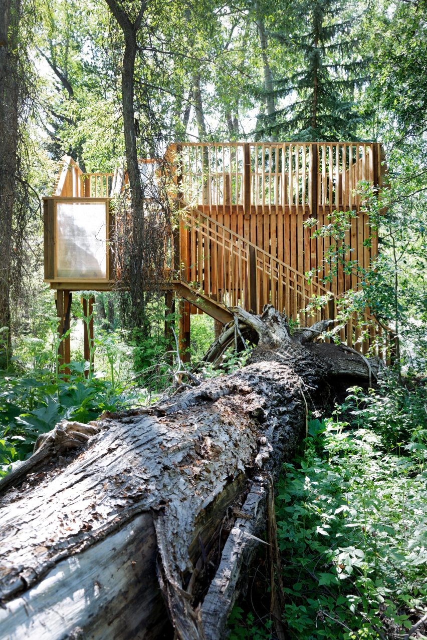 Aces Treehouse by Charles Cunniffe Architects