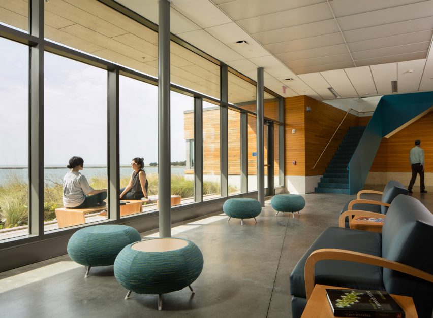 Duke University Marine Lab by GLUCK+ Architecture