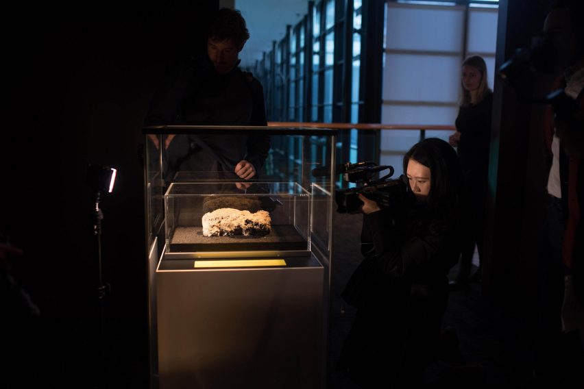 Fatberg exhibited at the Museum of London