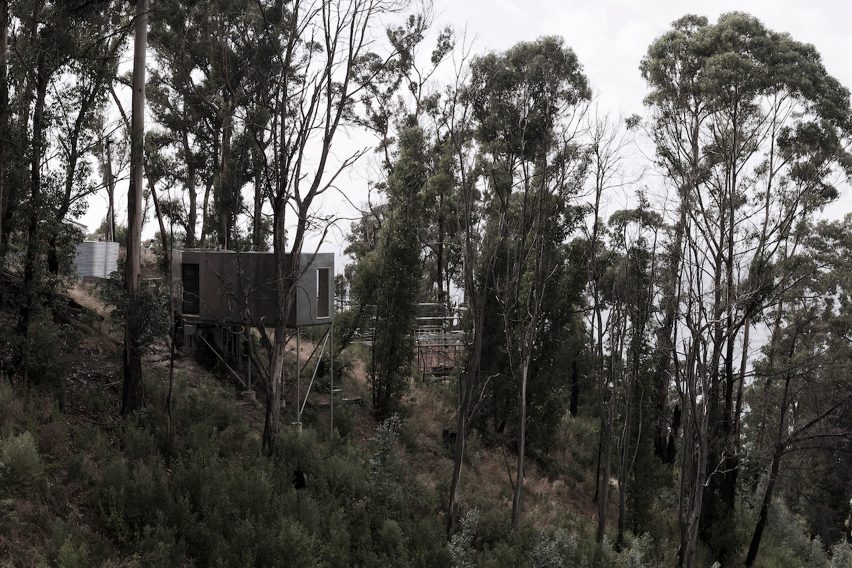 House 28 by Studio Edwards