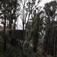 House 28 by Studio Edwards