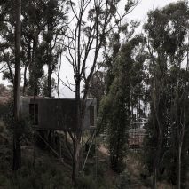 House 28 by Studio Edwards
