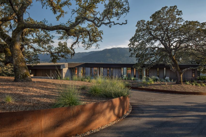 Lichen House by Schwartz and Architecture