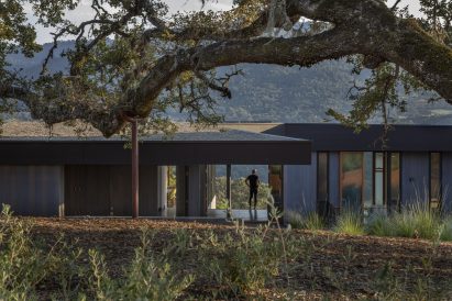 Lichen House by Schwartz and Architecture
