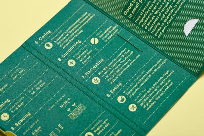 Here Design creates seed packaging to look like miniature book collection