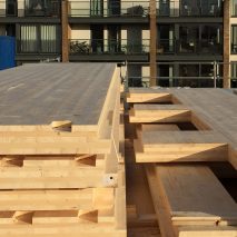 “If urban densification is inevitable, then let it be done with a material that makes us happy”