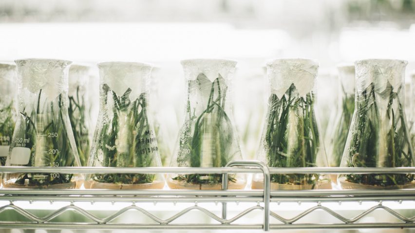 Finiture Green exhibition to showcase sustainable paint made from plants at Milan design week
