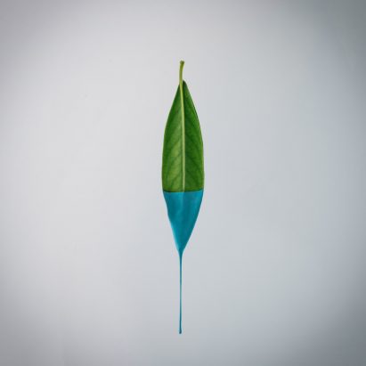 Finiture Green exhibition to showcase sustainable paint made from plants at Milan design week