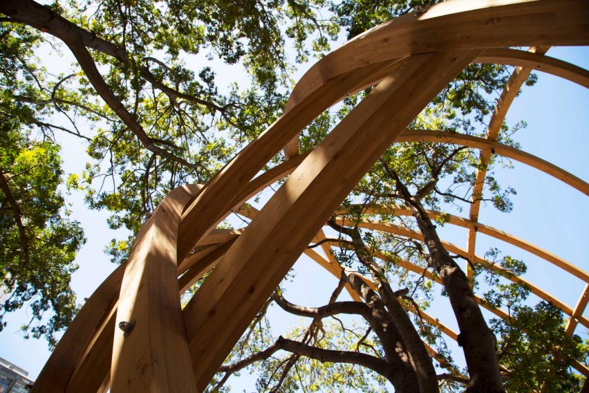 Arch for Archbishop Tutu by Snøhetta