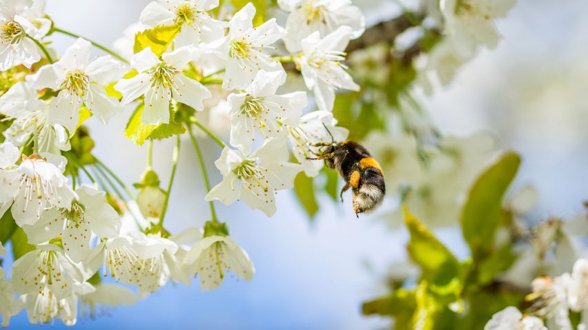Walmart files patent for autonomous robot bees