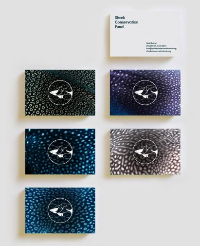Superfried creates branding for the Leonardo DiCaprio Foundation