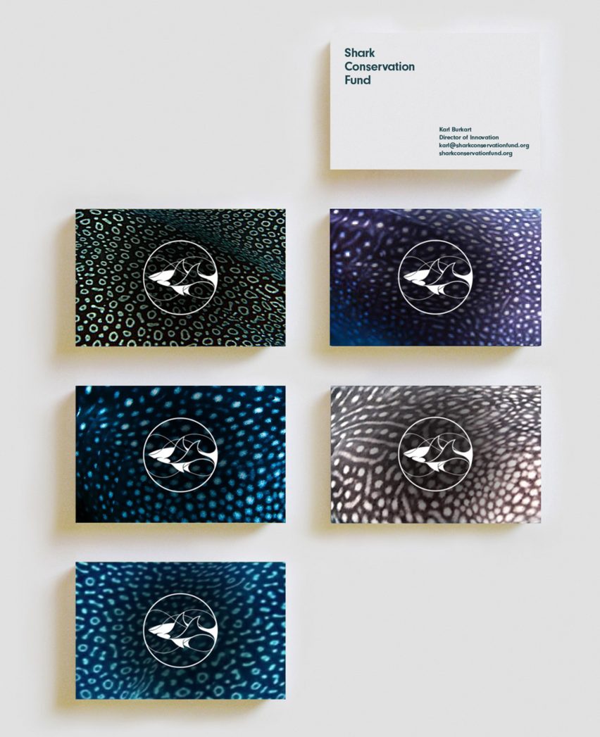 Superfried creates branding for the Leonardo DiCaprio Foundation