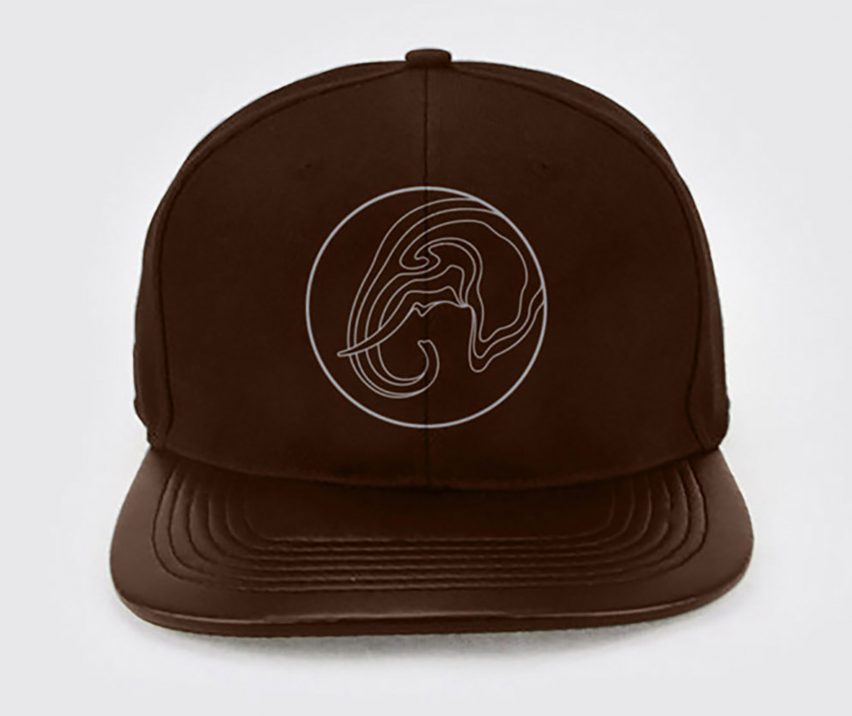 Superfried creates branding for the Leonardo DiCaprio Foundation