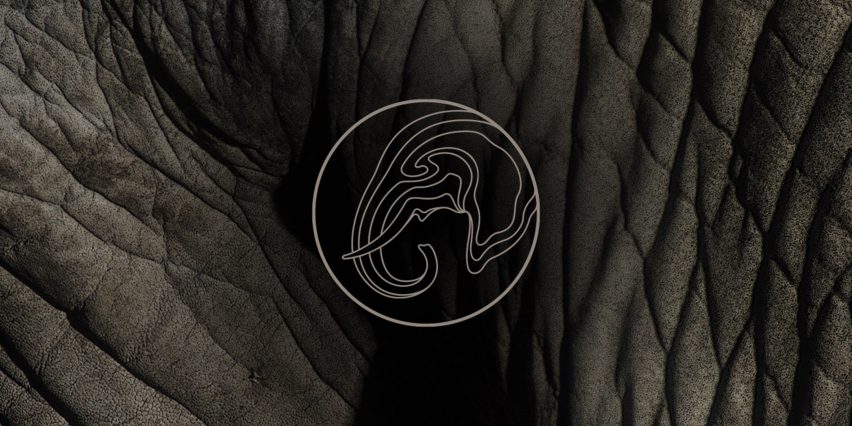 Superfried creates branding for the Leonardo DiCaprio Foundation