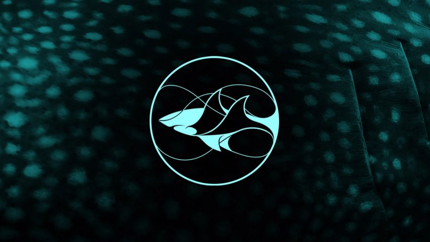 Superfried creates branding for the Leonardo DiCaprio Foundation