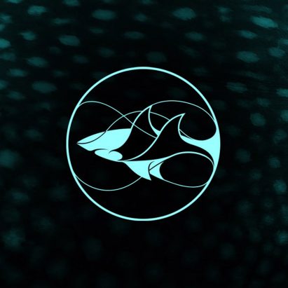 Superfried creates branding for the Leonardo DiCaprio Foundation
