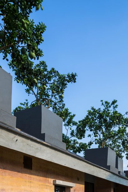 Dong Anh House by Vo Trong Nghia Architects