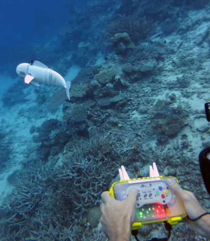 MIT reveal life-like soft robotic fish for documenting marine life