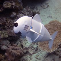 MIT reveal life-like soft robotic fish for documenting marine life