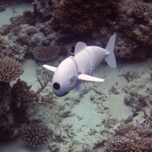 MIT reveal life-like soft robotic fish for documenting marine life
