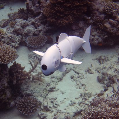 MIT reveal life-like soft robotic fish for documenting marine life