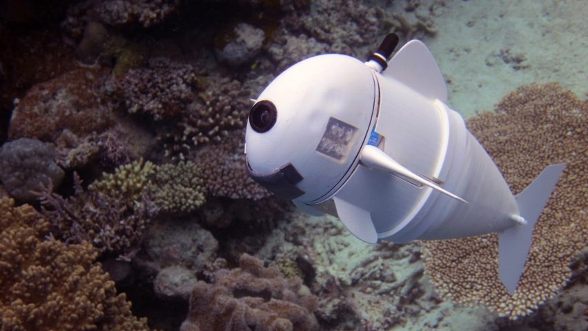 MIT's robotic fish