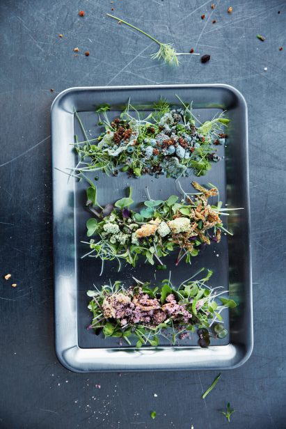 IKEA research lab Space 10 develops the burgers and hot dogs of the future